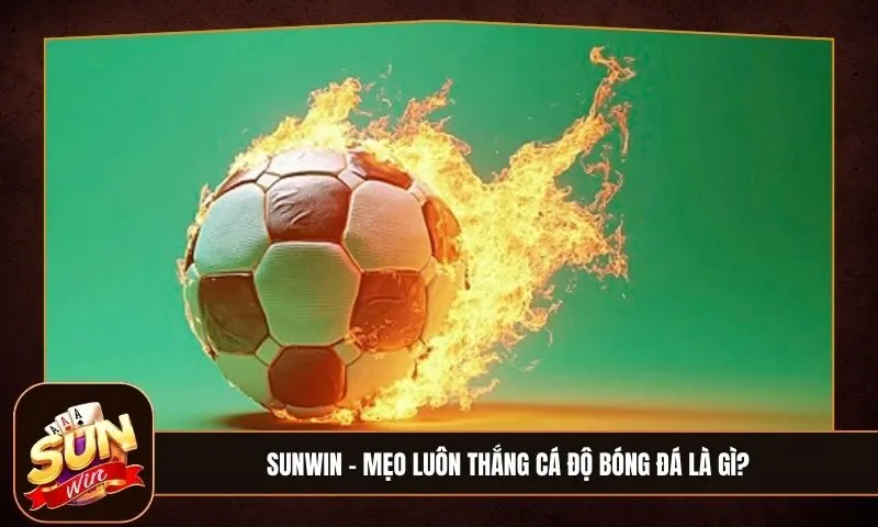 Mẹo luôn thắng cá độ bóng đá là gì? Chia sẻ bí kíp vàng khi soi kèo cho người mới