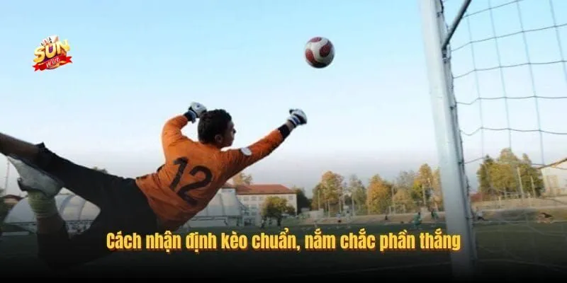 Nhận định kèo chuẩn cho tân thủ đảm bảo ăn cược